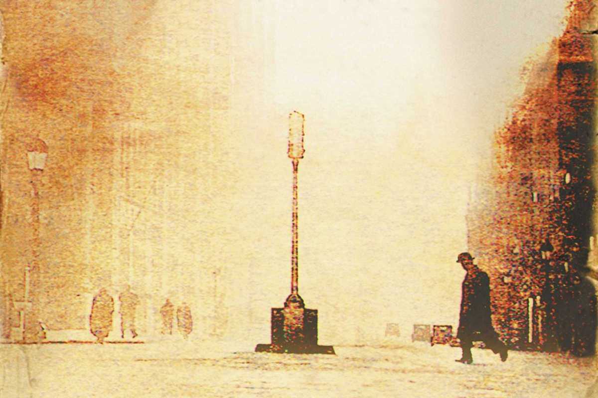 the shadow of the wind