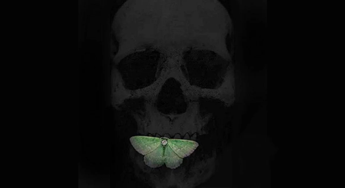 Death With Interruptions